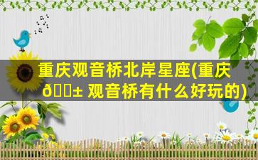 重庆观音桥北岸星座(重庆 🐱 观音桥有什么好玩的)